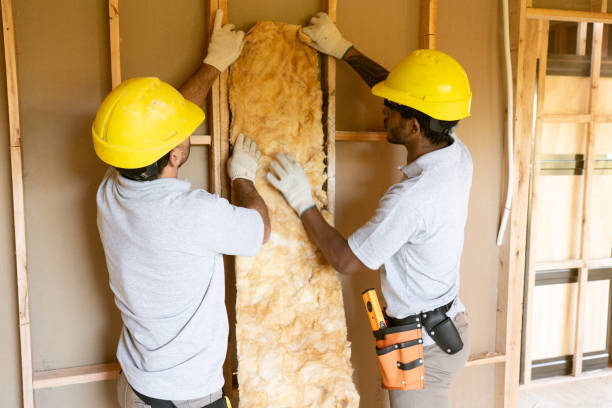 Insulation Replacement Services in Mantachie, MS