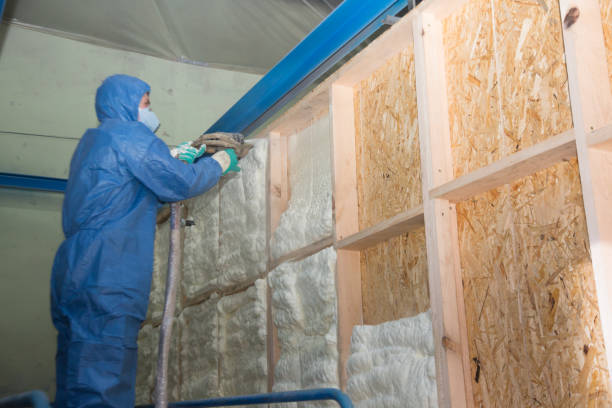 Best Attic Insulation Installation  in Mantachie, MS
